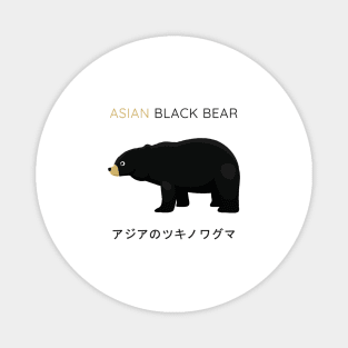 Asiatic Black Bear, Asian Black Bear, Moon Bear Magnet